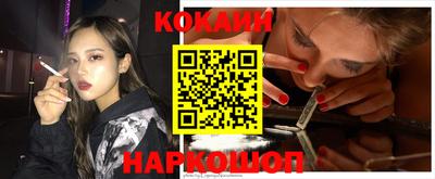 шишки Кимры
