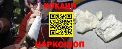 тгк Кингисепп