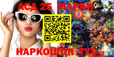 шишки Кимры