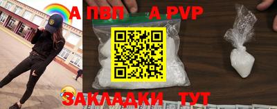 тгк Кингисепп