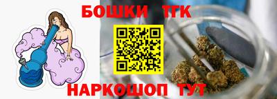 тгк Кингисепп