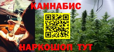 шишки Кимры