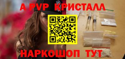 тгк Кингисепп