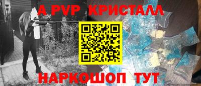 тгк Кингисепп