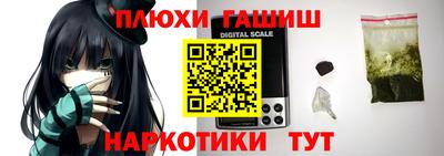 шишки Кимры
